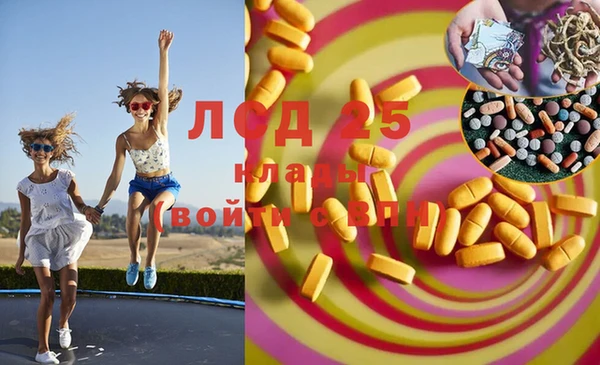 гашик Сясьстрой