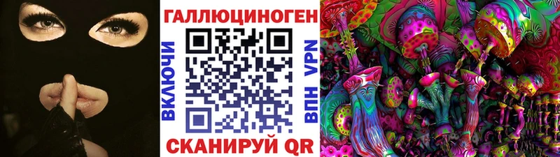 Купить закладки  Новочеркасск  Галлюциногенные грибы Psilocybe 